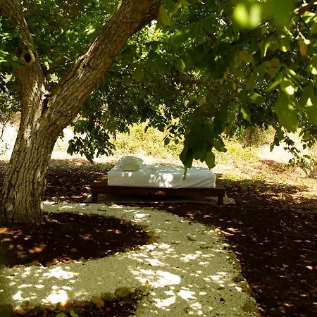 Trulli Kalios *